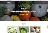 民乐大型网站